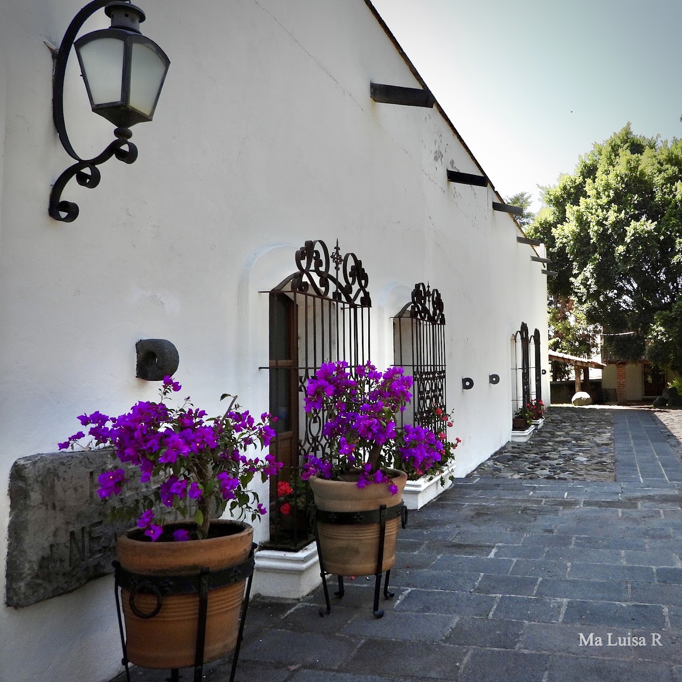 Hacienda Nexatengo