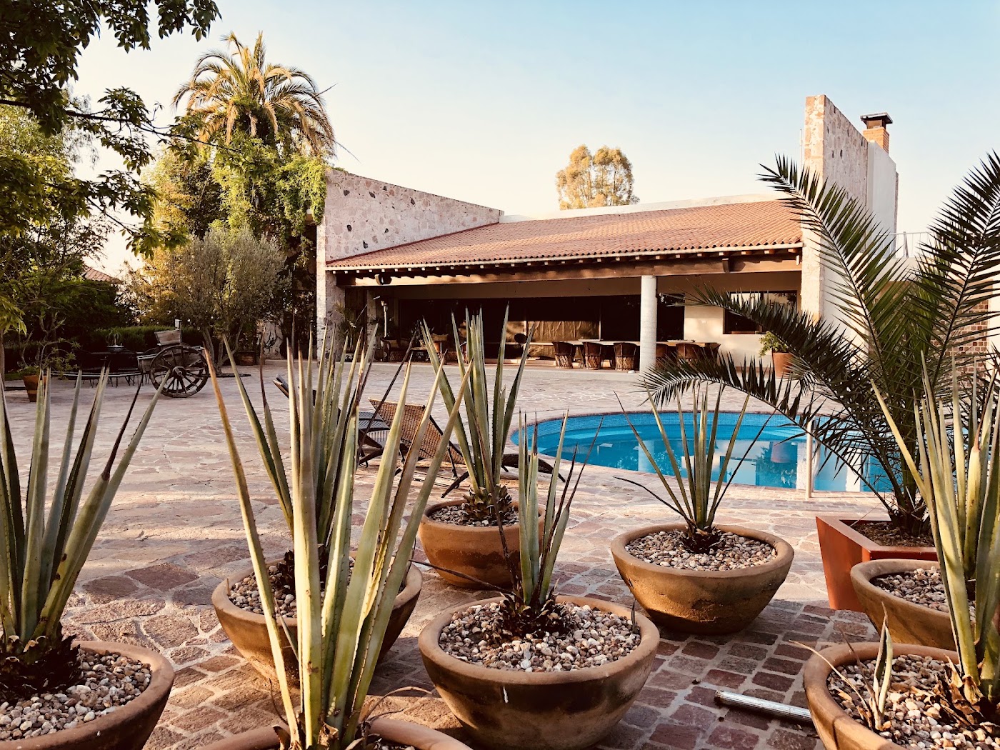 María y Bernardo Casa - Viñedo