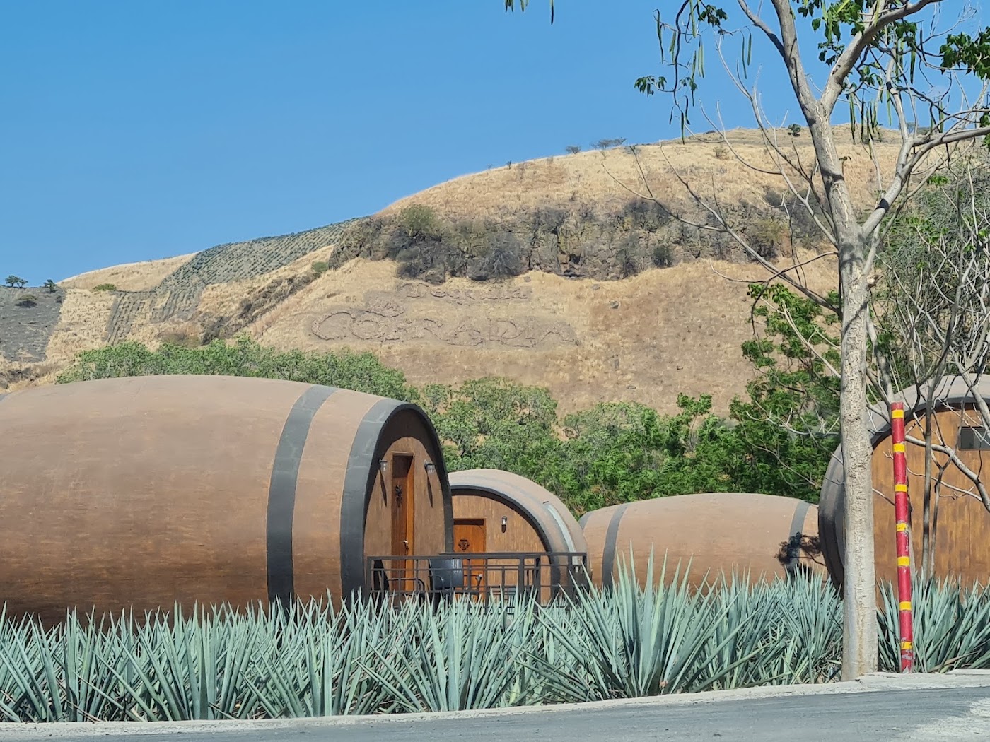 Hacienda Tequilera La Cofradía
