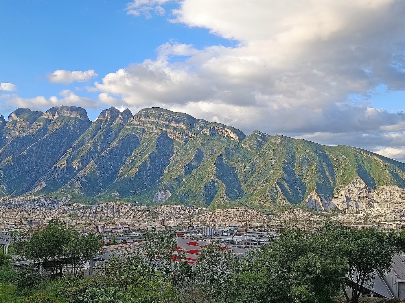 Jardín Casa Verde
